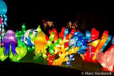 China light 