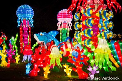 China light 
