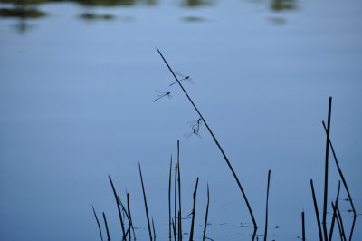 g9/32/633432/3/164844655.XLoF70nN.jpg