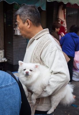Photo essay no. 4 - wandering the markets of Shanghai 2013