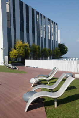 Rooftop garden.