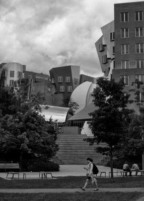 _MG_0245.jpg