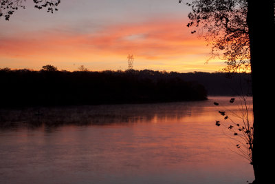 _MG_9585 1.jpg