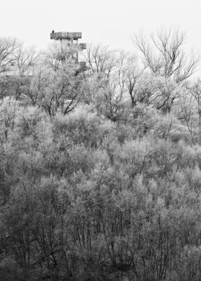 _MG_0595.jpg