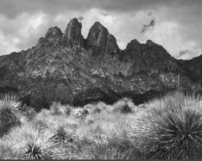 Organ Mountains, New Mexico