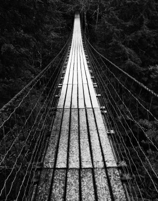 Bridge to Nowhere, Fall Creek Falls State Park, Tennessee