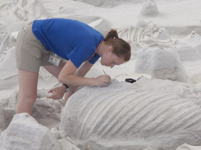 Intern--Ashfall Fossil Bed State Park