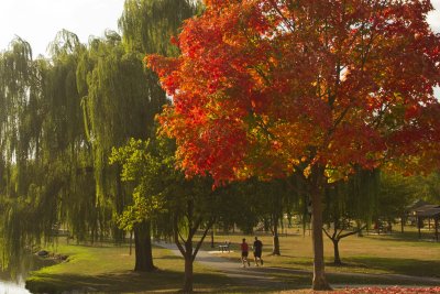 Bakers Park
