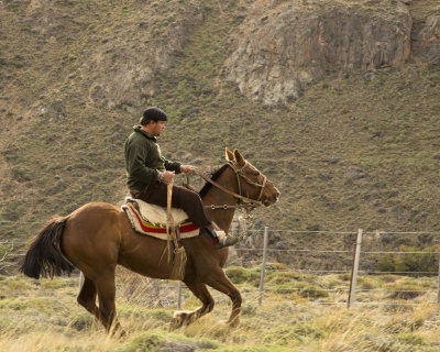 Gaucho