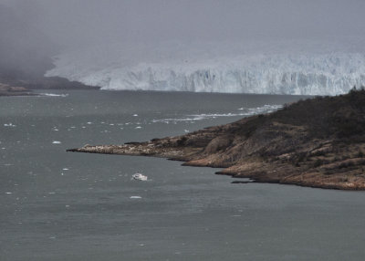 Perito Mereno Glacier