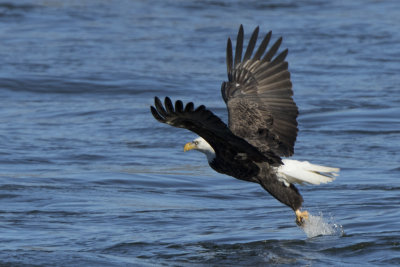 Conowingo1207140001_1199.jpg