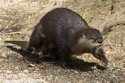 NationalZoo000_118.jpg