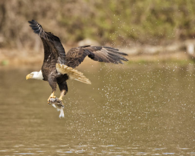 JR041115000_812.jpg