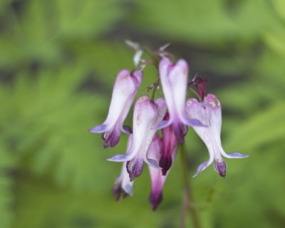 SM0428150_1.jpg