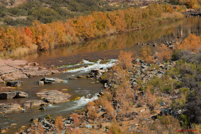 Salt River Canyon 2.jpg