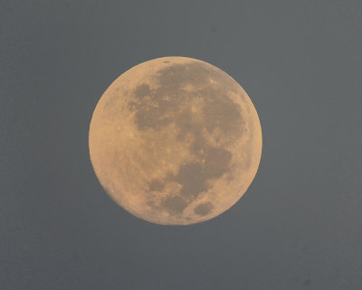 full moon BRD2129.JPG