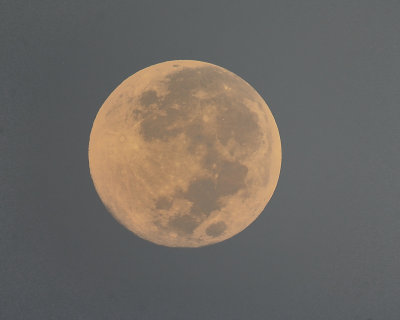 full moon BRD2128.JPG