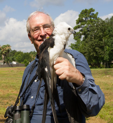 swallow-tailed kite IMG8363_JKa.JPG