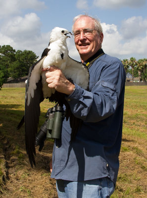 swallow-tailed kite  IMG8375_JK.JPG