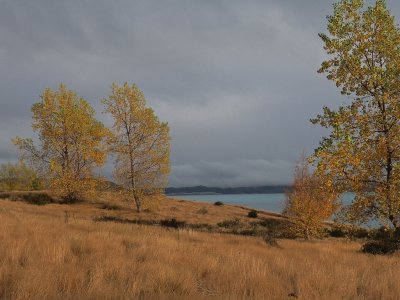 Lake Pukaki 1
