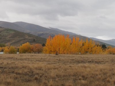 Lake Pukaki 17