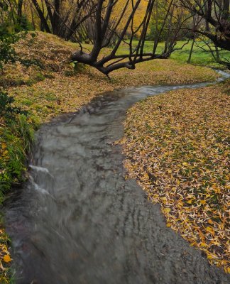 Arrowtown 8