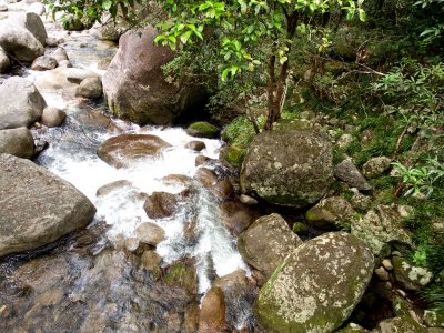 Mossman Gorge