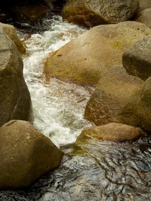 Mossman Gorge