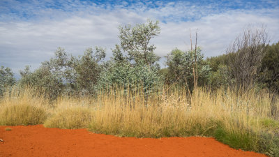 Alice Springs Desert Park 2