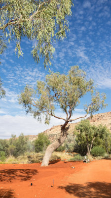 Alice Springs Desert Park 1