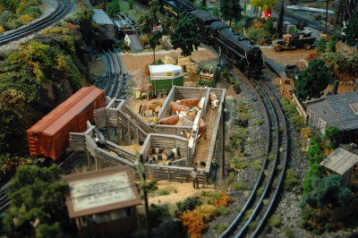 Racoon Scenic Railroad by  Cookie Hanna