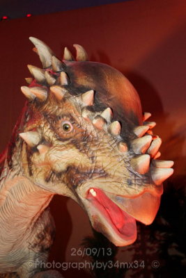 2013 dinosaurus expo