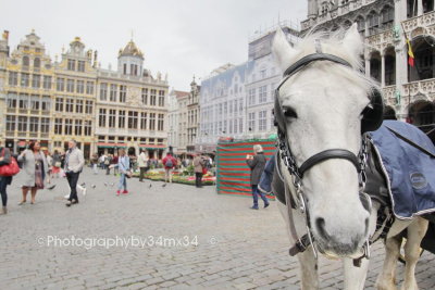 50 La Grand place more than 1000 years