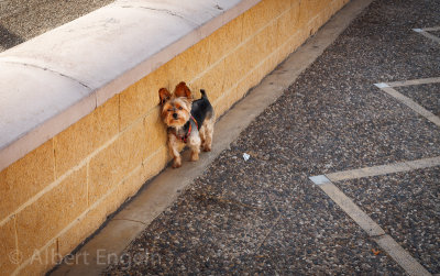 IMG_5600.Almeria- Spain