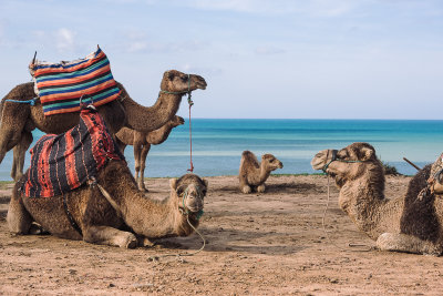 20161207_morocco_8561.jpg
