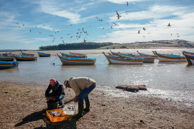 20161208_morocco_8868.jpg