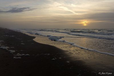 Noordzee