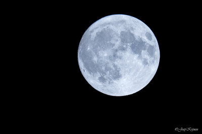 Volle maan/Full moon
