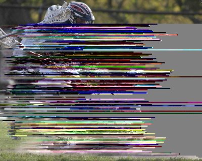 431K0085.jpg