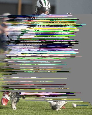 431K9963.jpg