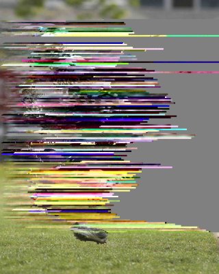 431K9985.jpg