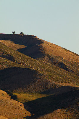 Landschap-IMG_3108.jpg