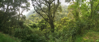 Dasyueshan Nationel Forest Recreation Area