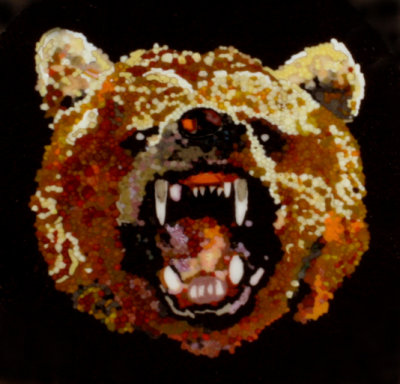 Bear for Pininterest