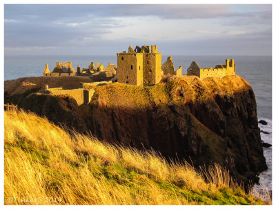 Dunnottar Gold