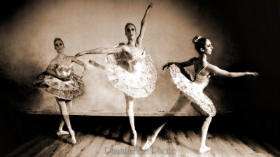 Dargie Ballerinas