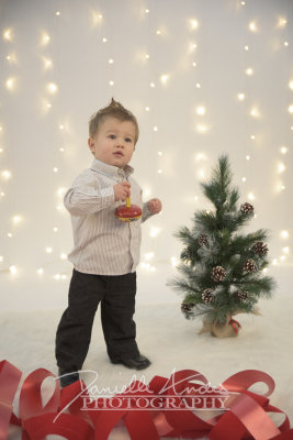 2015 Holiday Mini Sessions