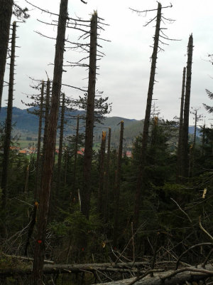 20140412_090142.jpg