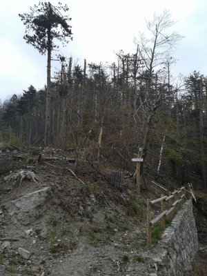 20140412_090418.jpg