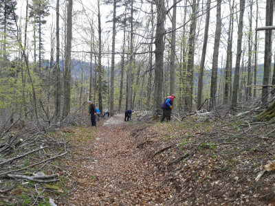 20140412_100552.jpg